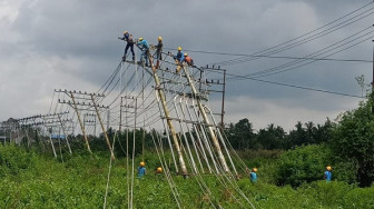 Gercep PLN UP3 Jambi Pulihkan Kondisi Kelistrikan Pasca Cuaca Buruk